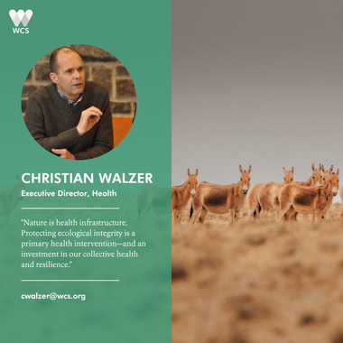 WCS CBD COP17 Quote Cards - Christian Walzer